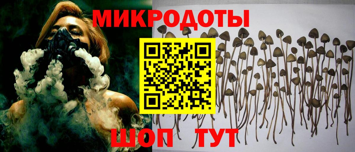 Красногорск  Псилоцибиновые грибы мухоморы  где продают наркотики  Вход с VPN 